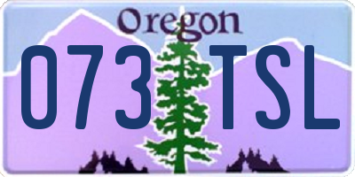 OR license plate 073TSL