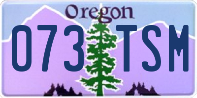 OR license plate 073TSM