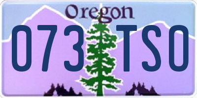 OR license plate 073TSO