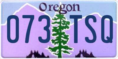 OR license plate 073TSQ