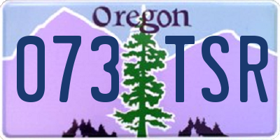 OR license plate 073TSR