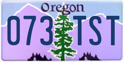 OR license plate 073TST