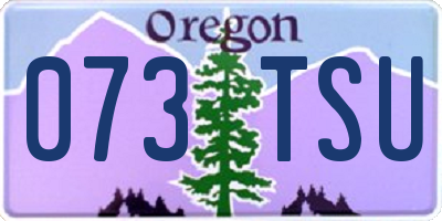 OR license plate 073TSU