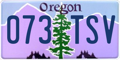 OR license plate 073TSV