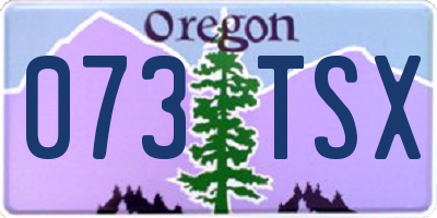 OR license plate 073TSX
