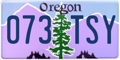 OR license plate 073TSY