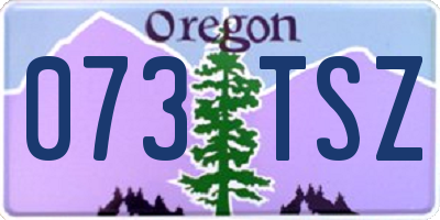 OR license plate 073TSZ