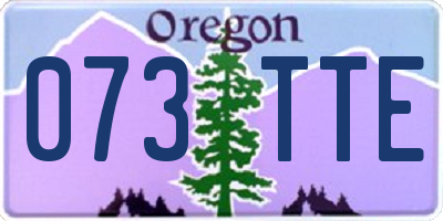 OR license plate 073TTE