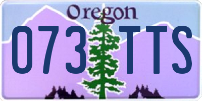 OR license plate 073TTS