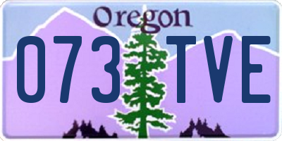 OR license plate 073TVE