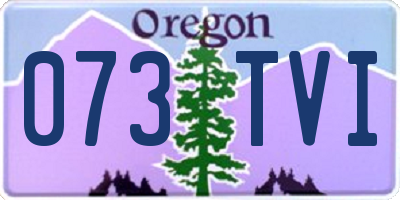 OR license plate 073TVI