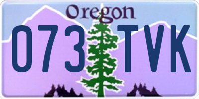 OR license plate 073TVK