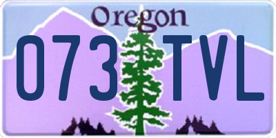 OR license plate 073TVL