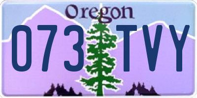 OR license plate 073TVY