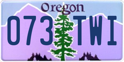 OR license plate 073TWI