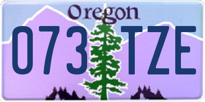 OR license plate 073TZE