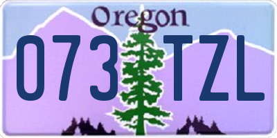 OR license plate 073TZL