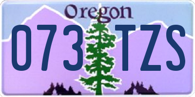 OR license plate 073TZS