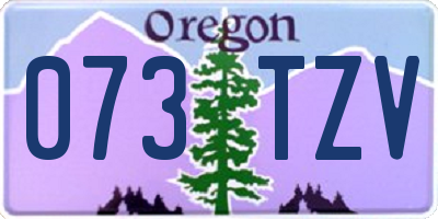OR license plate 073TZV