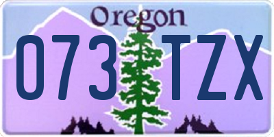 OR license plate 073TZX