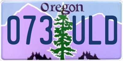 OR license plate 073ULD
