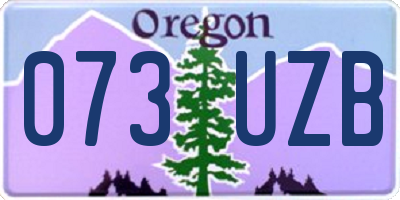 OR license plate 073UZB
