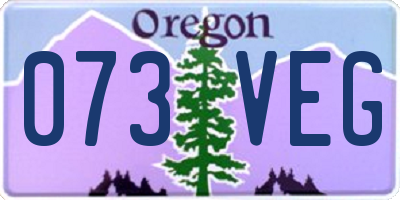 OR license plate 073VEG