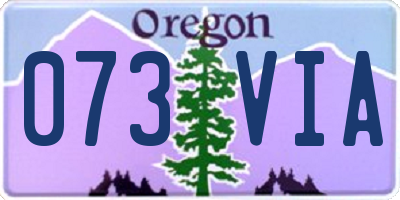 OR license plate 073VIA