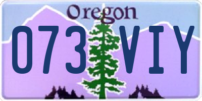 OR license plate 073VIY