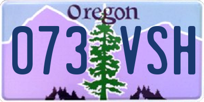 OR license plate 073VSH