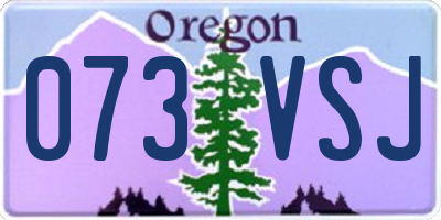 OR license plate 073VSJ