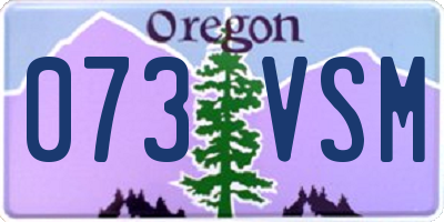 OR license plate 073VSM