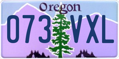 OR license plate 073VXL