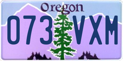 OR license plate 073VXM