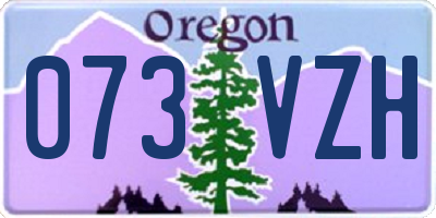 OR license plate 073VZH