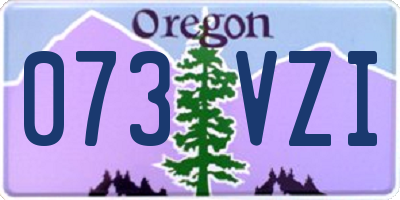 OR license plate 073VZI