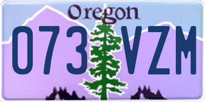 OR license plate 073VZM