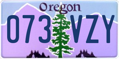 OR license plate 073VZY