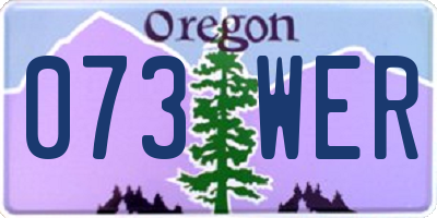 OR license plate 073WER