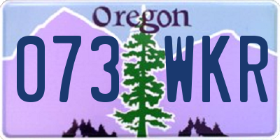 OR license plate 073WKR
