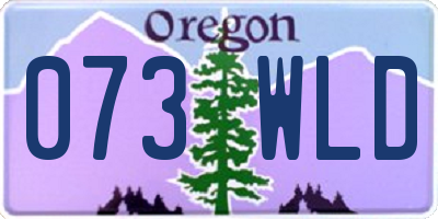 OR license plate 073WLD