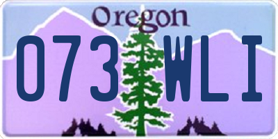OR license plate 073WLI