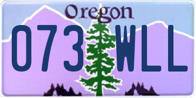 OR license plate 073WLL