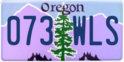 OR license plate 073WLS