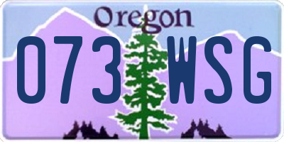 OR license plate 073WSG