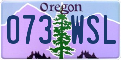 OR license plate 073WSL