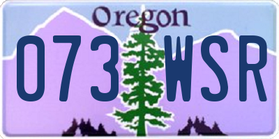 OR license plate 073WSR