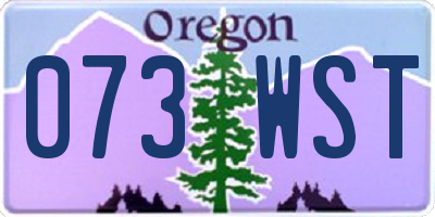 OR license plate 073WST