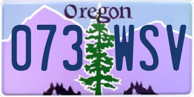 OR license plate 073WSV