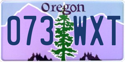 OR license plate 073WXT